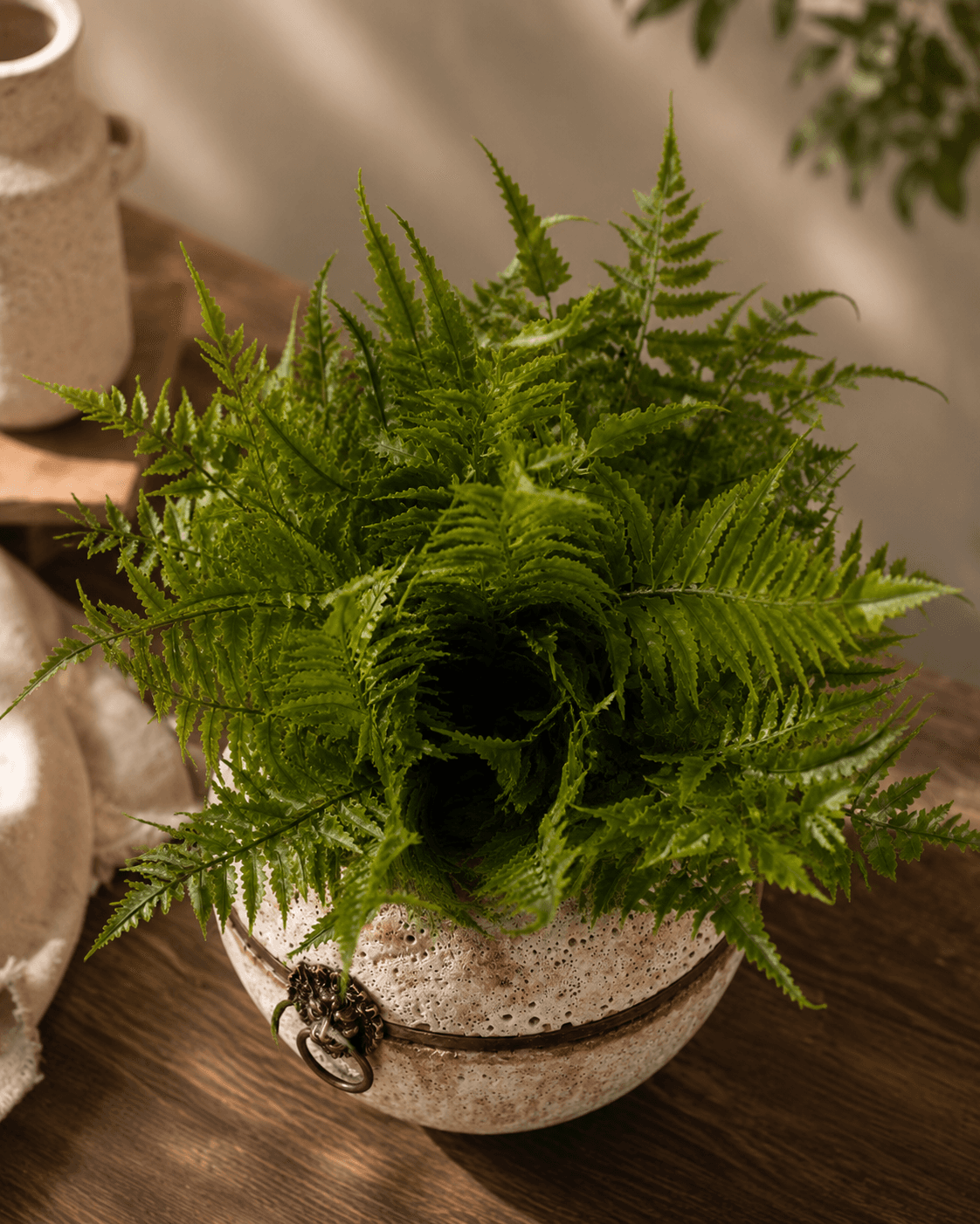 Ferns Artificial Leaf Stem - Single Stem