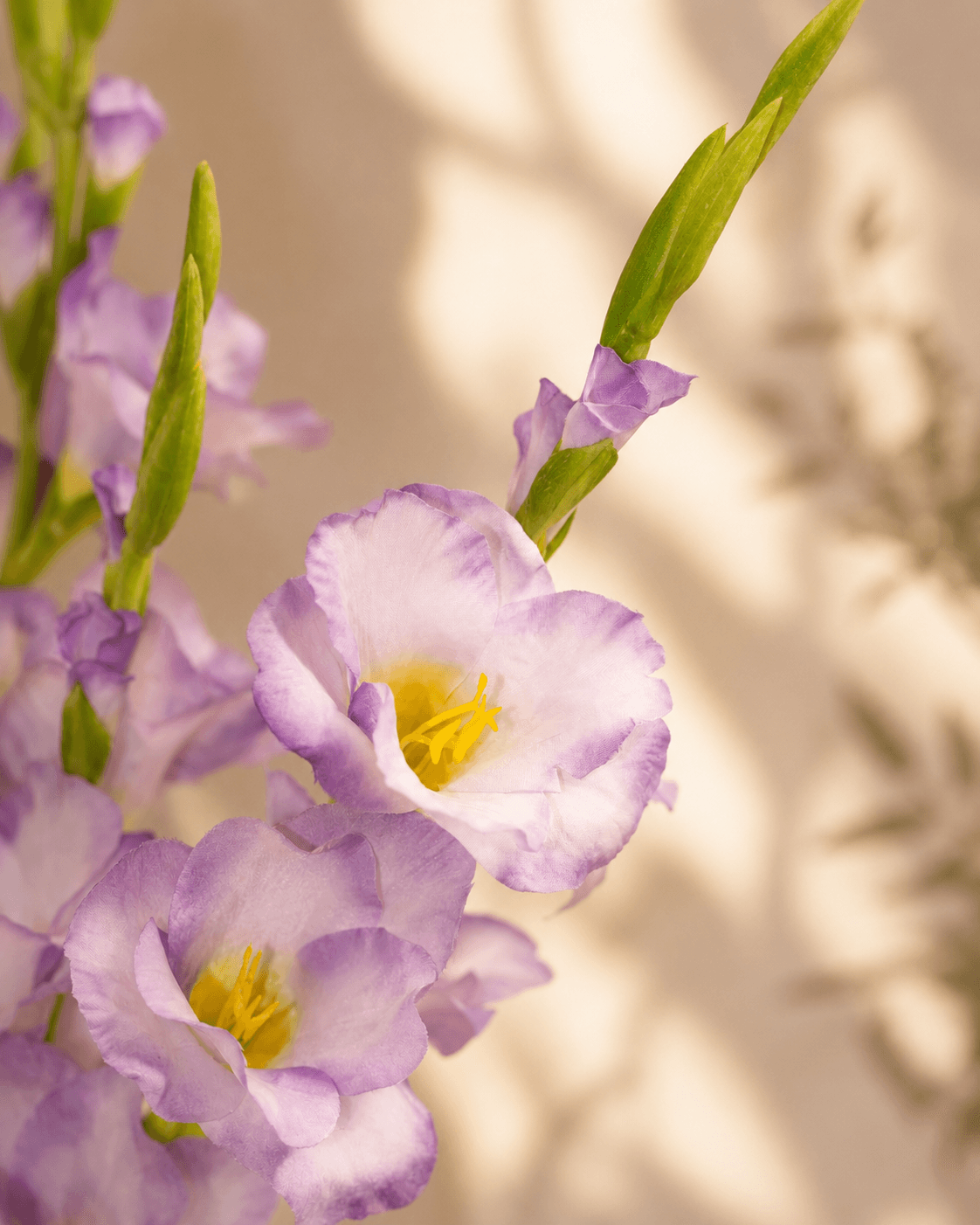 Gladiolus Violet Artificial Flower - Single Stem