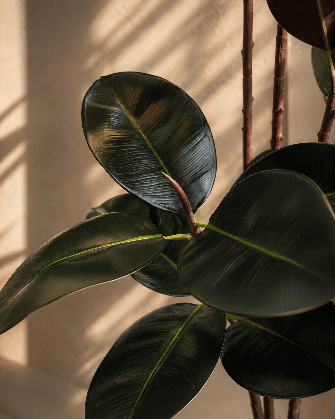 Rubber Artificial Plant
