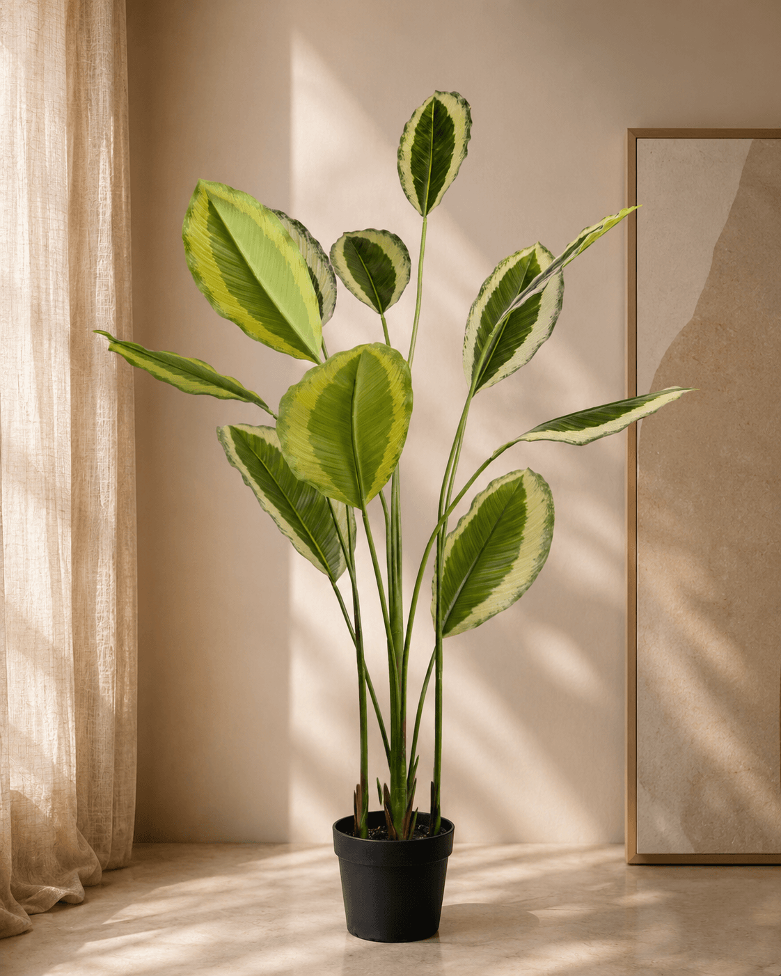 Calathea Thin Leaves Artificial Plant