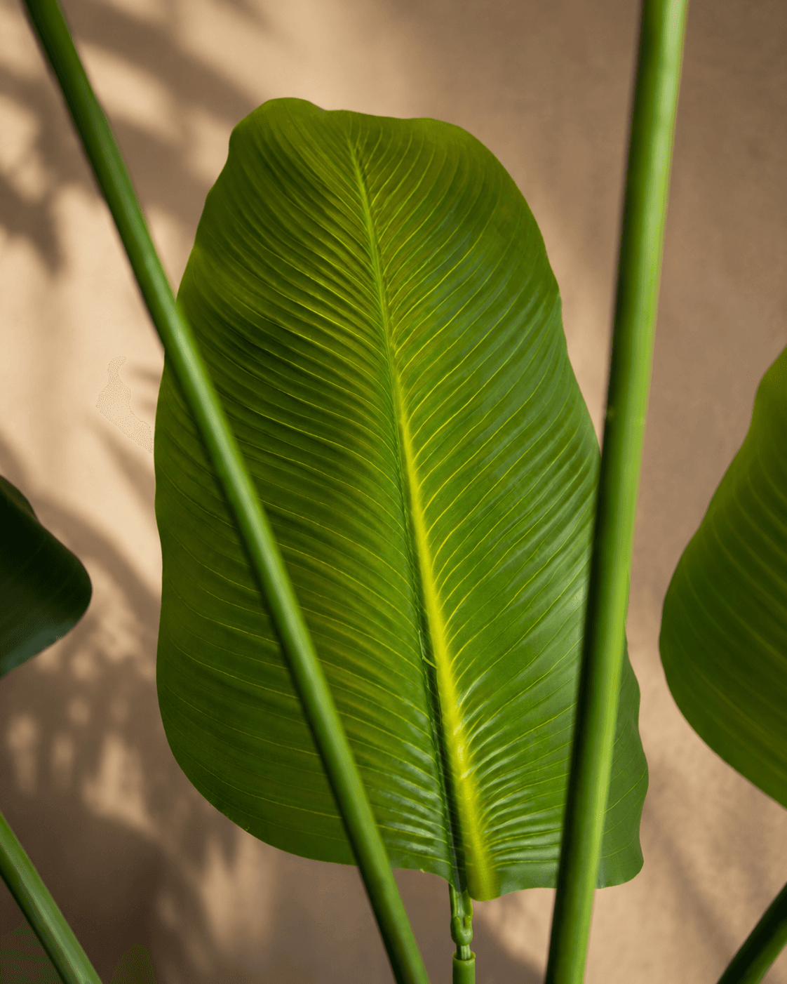 Calathea Dark Green Artificial Plant