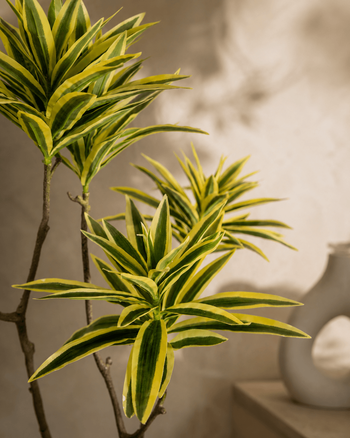 Dracaena Artificial Plant