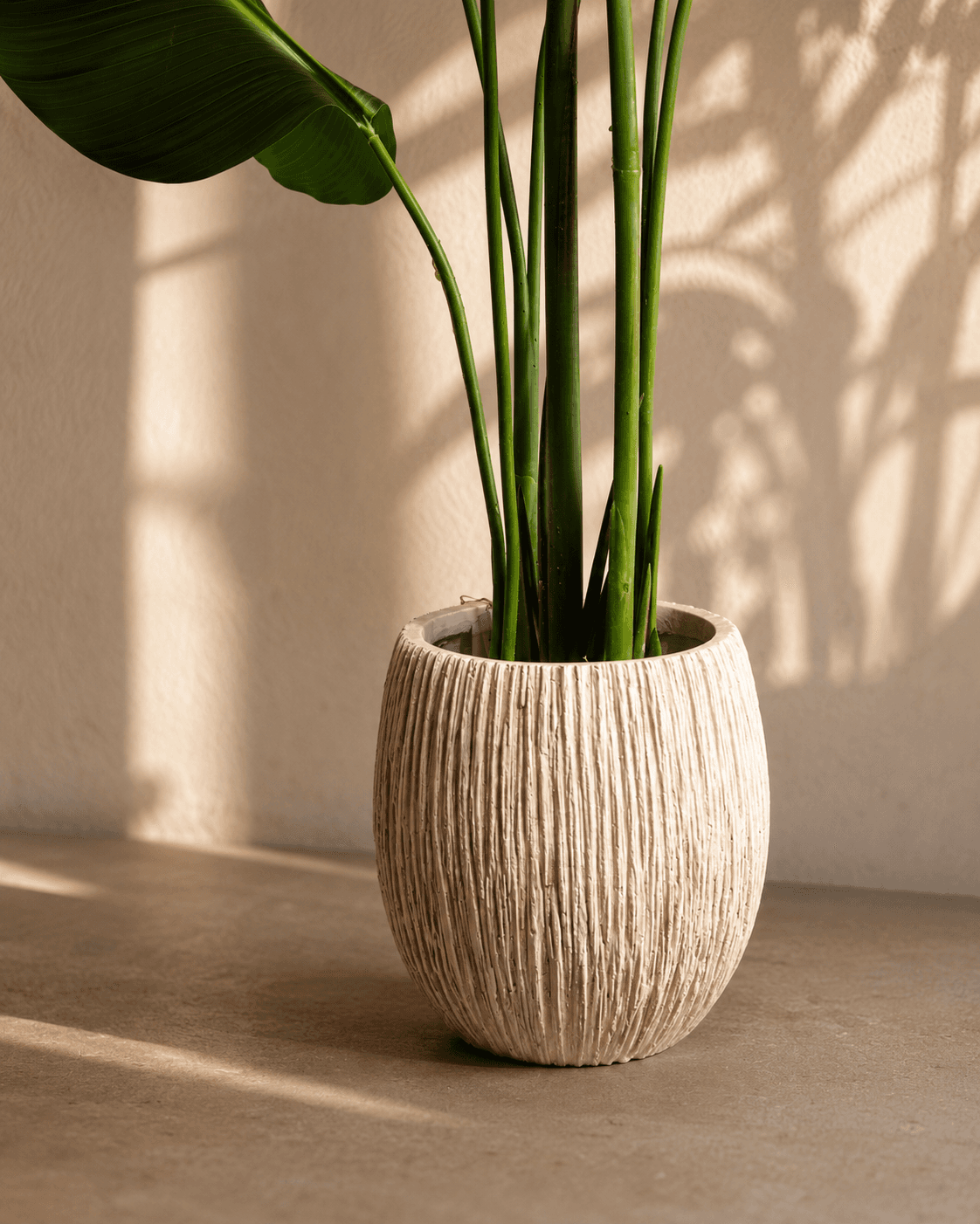 Calathea Dark Green Artificial Plant